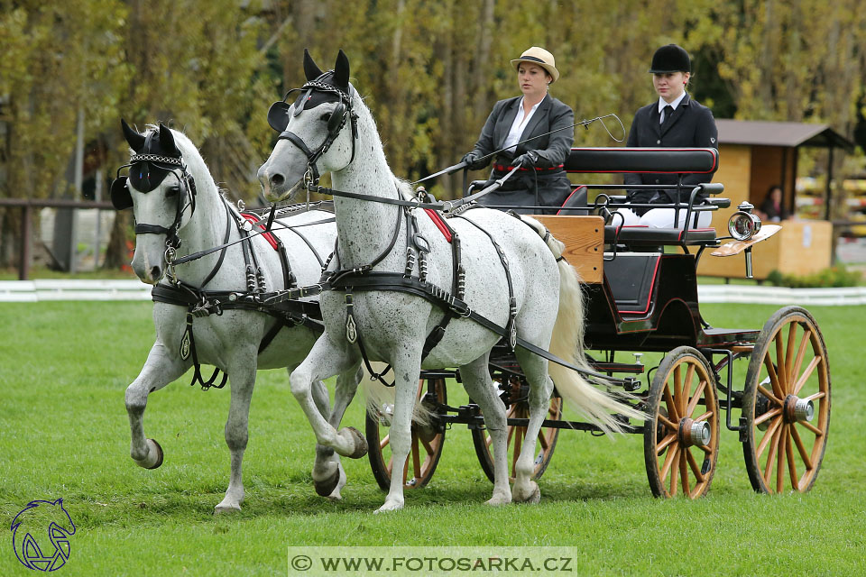 MČR Pardubice 2017 - drezury