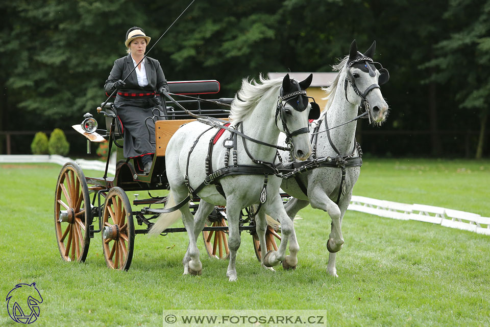 MČR Pardubice 2017 - drezury