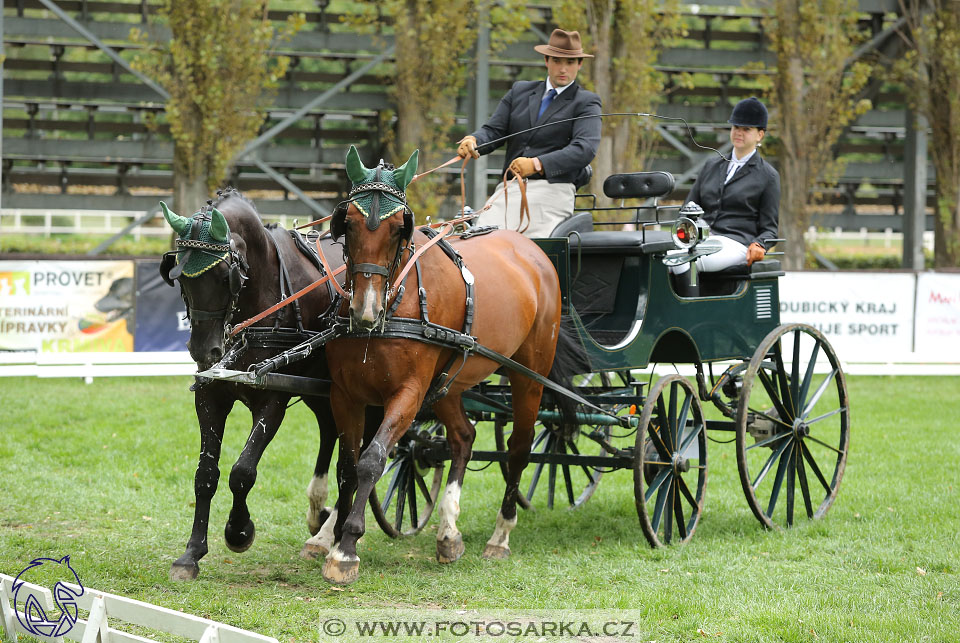 MČR Pardubice 2017 - drezury