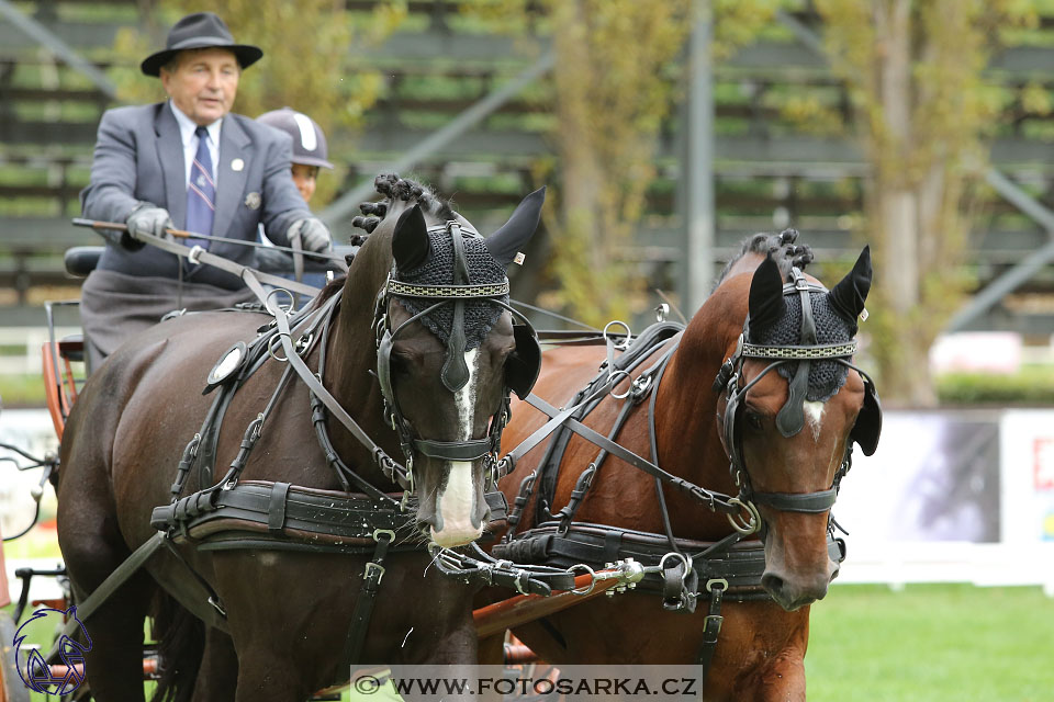 MČR Pardubice 2017 - drezury