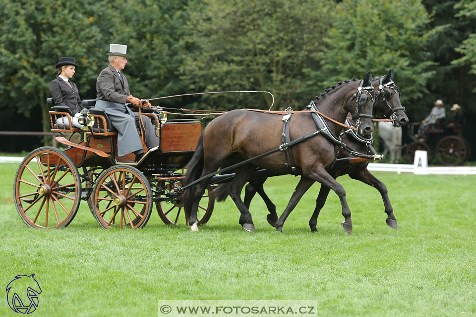 MČR Pardubice 2017 - drezury