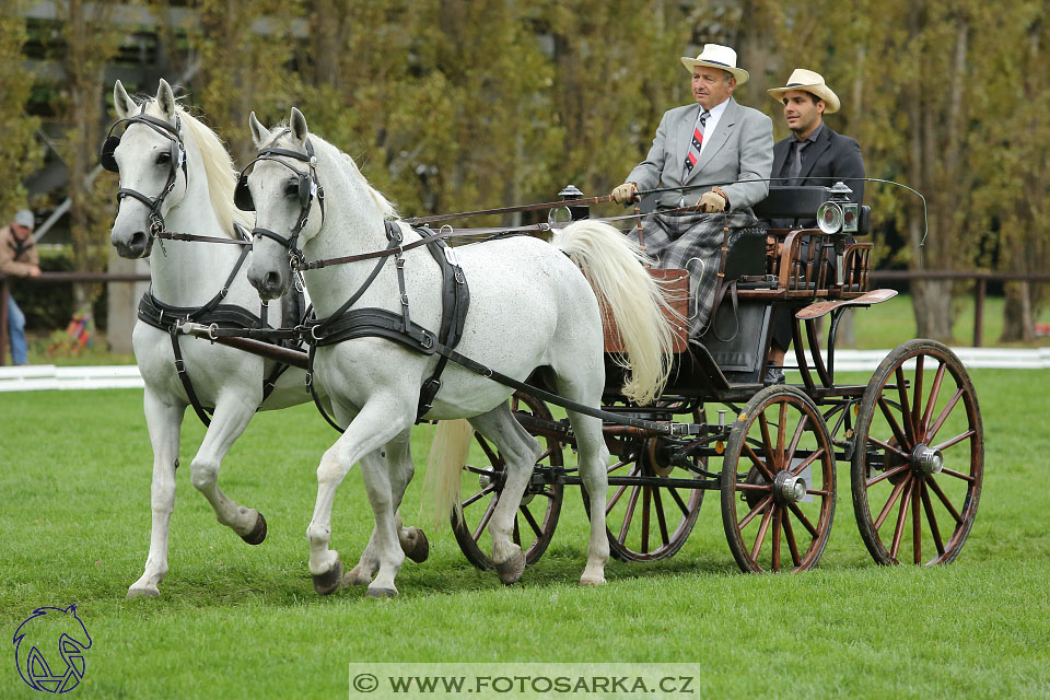 MČR Pardubice 2017 - drezury