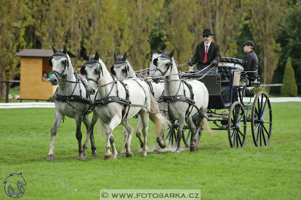 MČR Pardubice 2017 - drezury