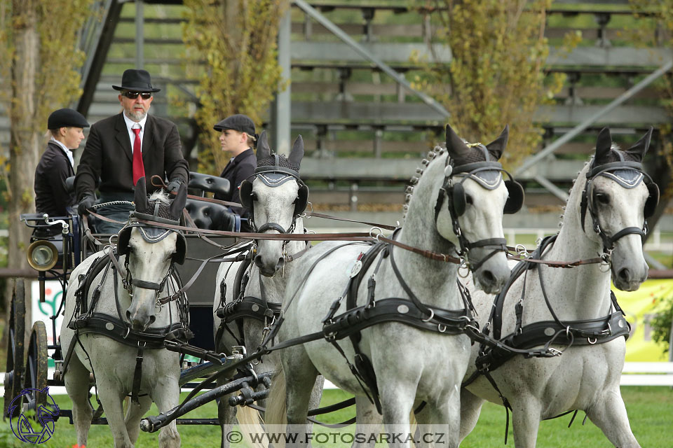 MČR Pardubice 2017 - drezury