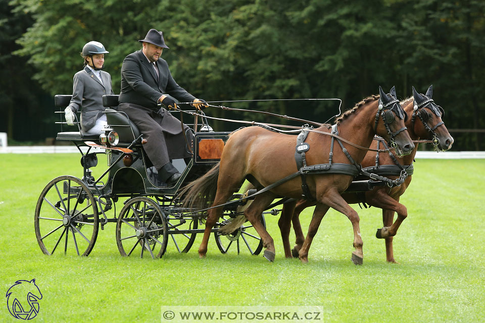 MČR Pardubice 2017 - drezury