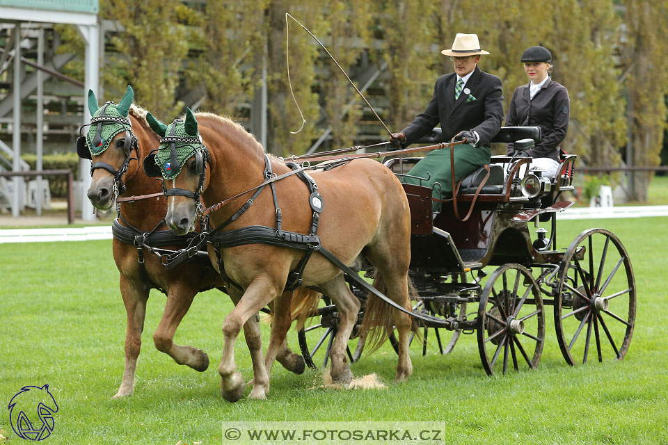 MČR Pardubice 2017 - drezury