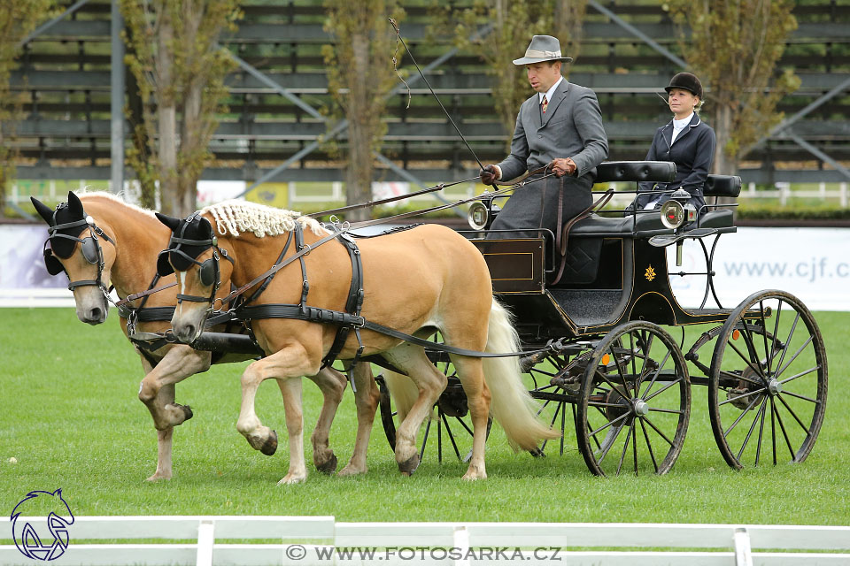 MČR Pardubice 2017 - drezury