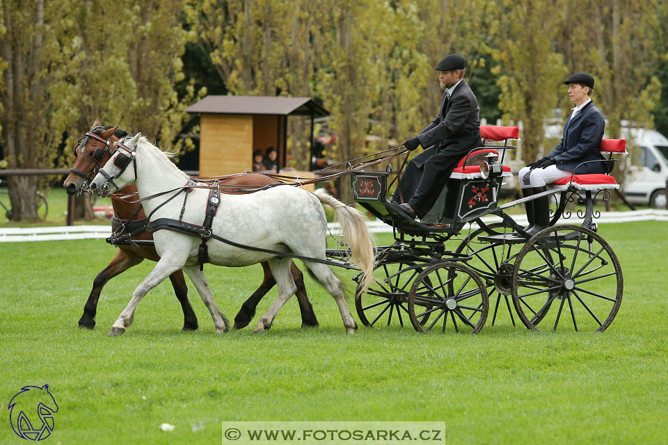 MČR Pardubice 2017 - drezury