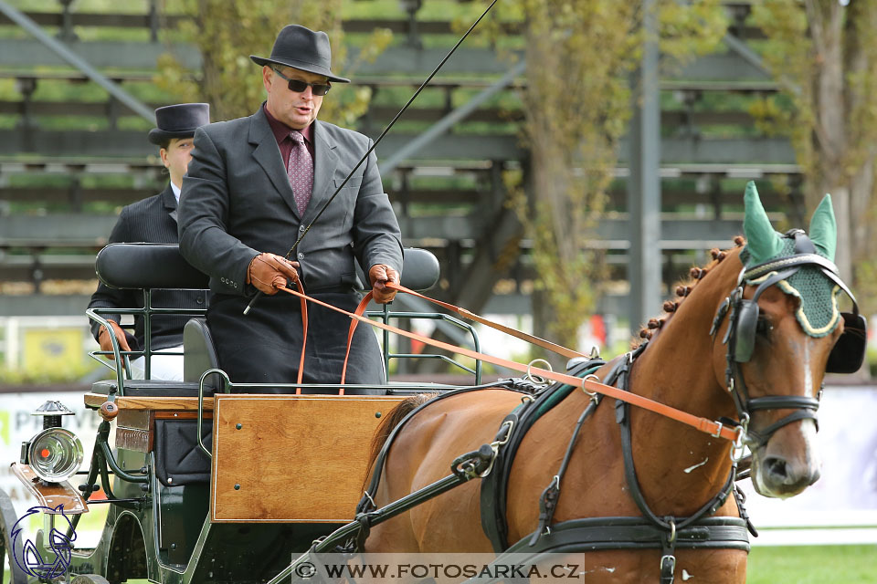 MČR Pardubice 2017 - drezury