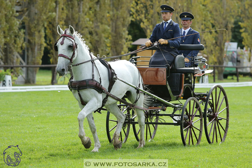 MČR Pardubice 2017 - drezury