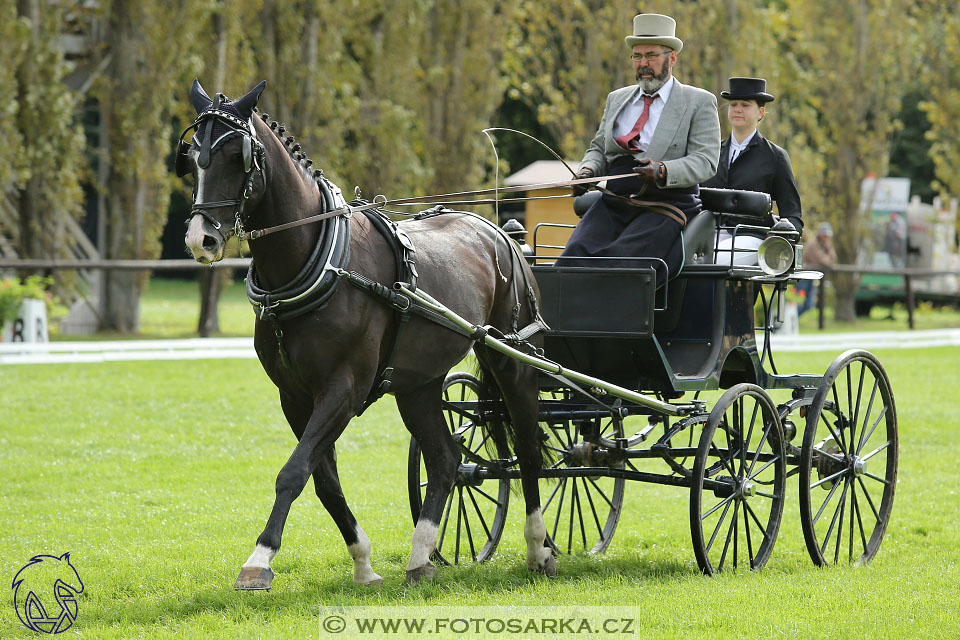 MČR Pardubice 2017 - drezury