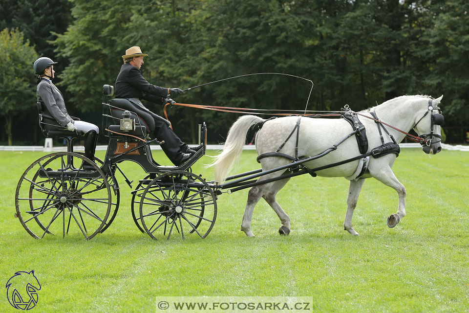 MČR Pardubice 2017 - drezury