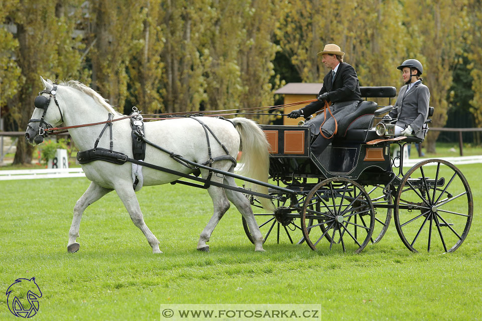 MČR Pardubice 2017 - drezury