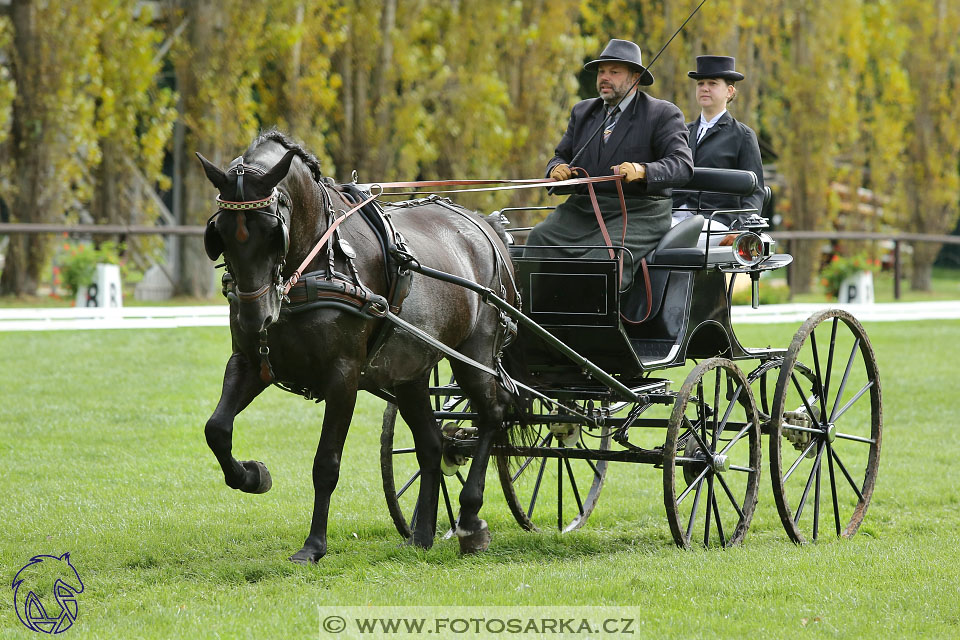 MČR Pardubice 2017 - drezury