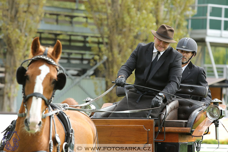 MČR Pardubice 2017 - drezury