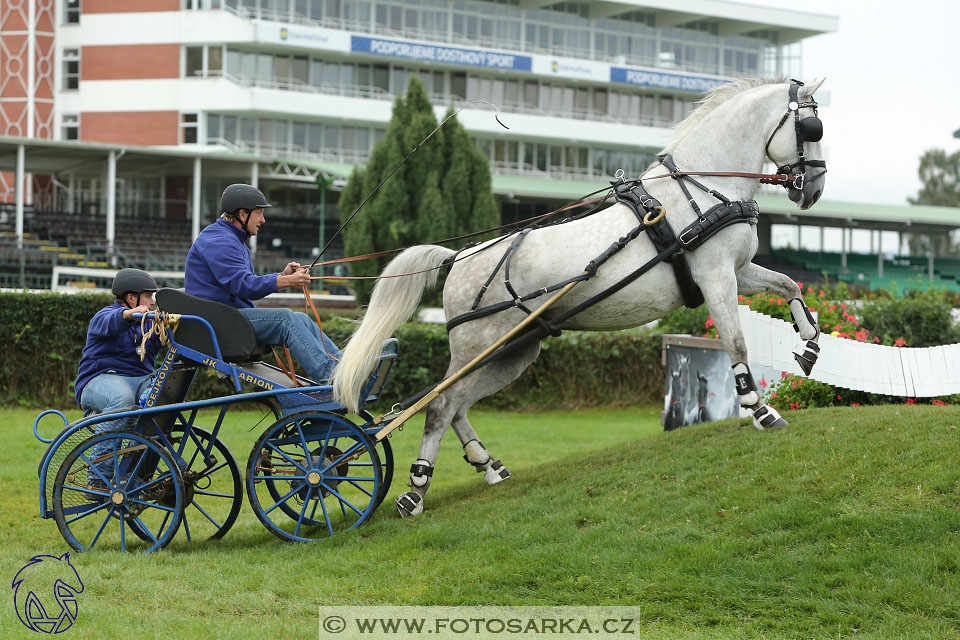 MČR Pardubice 2017 - maraton