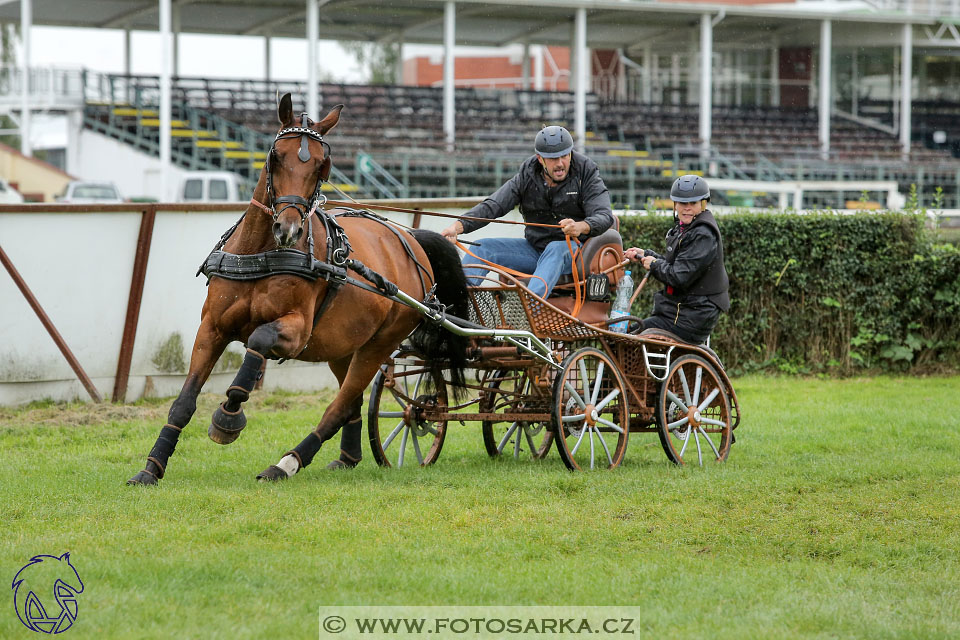 MČR Pardubice 2017 - maraton