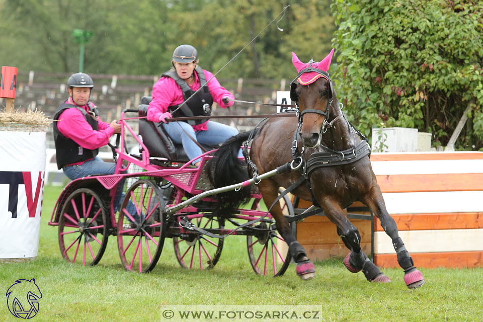 MČR Pardubice 2017 - maraton
