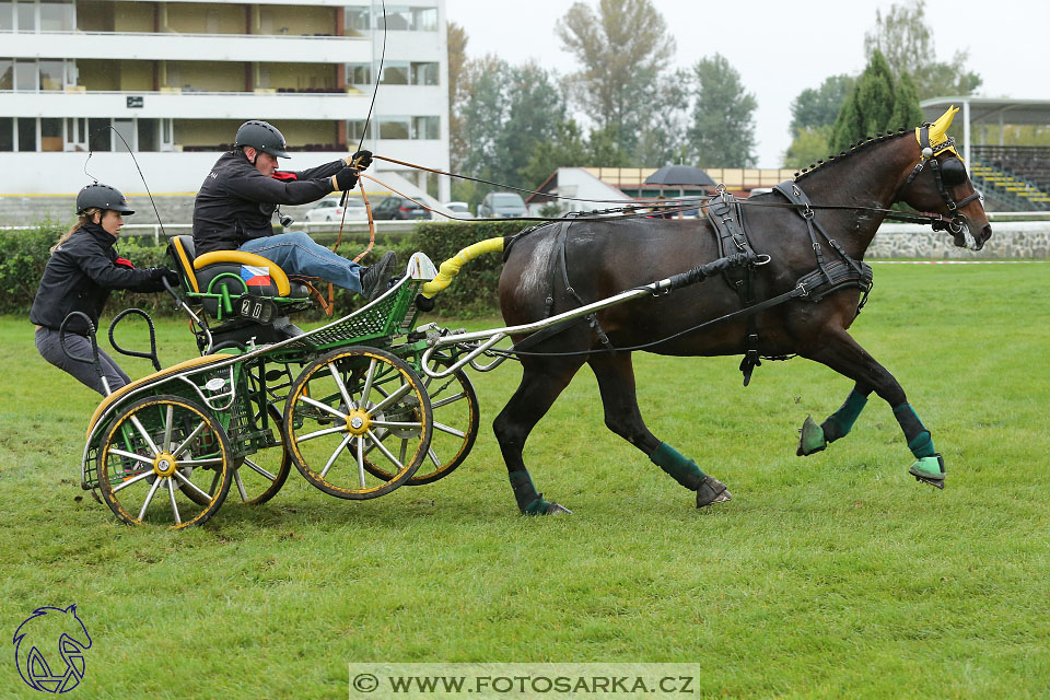 MČR Pardubice 2017 - maraton