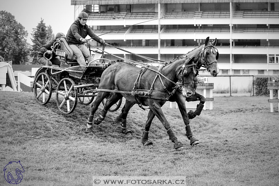 MČR Pardubice 2017 - maraton