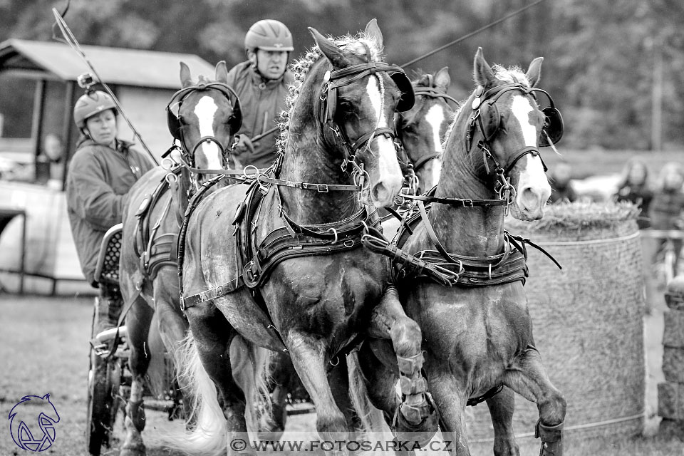 MČR Pardubice 2017 - maraton