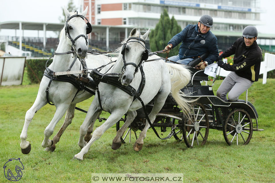 MČR Pardubice 2017 - maraton