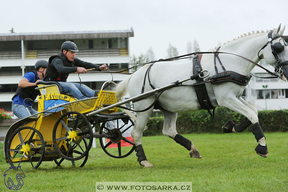 MČR Pardubice 2017 - maraton