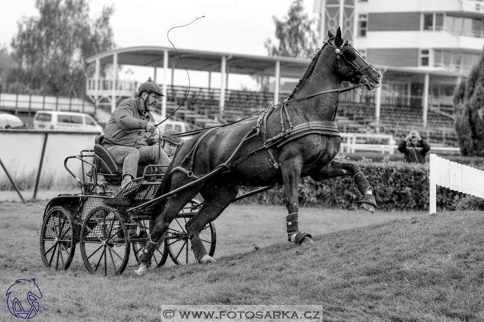 MČR Pardubice 2017 - maraton