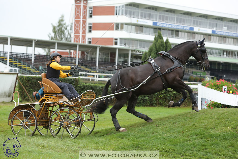 MČR Pardubice 2017 - maraton