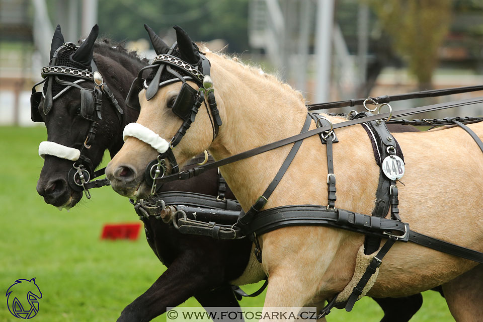 MČR Pardubice 2017 - parkur