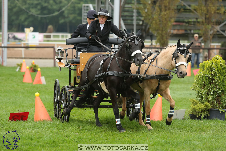 MČR Pardubice 2017 - parkur