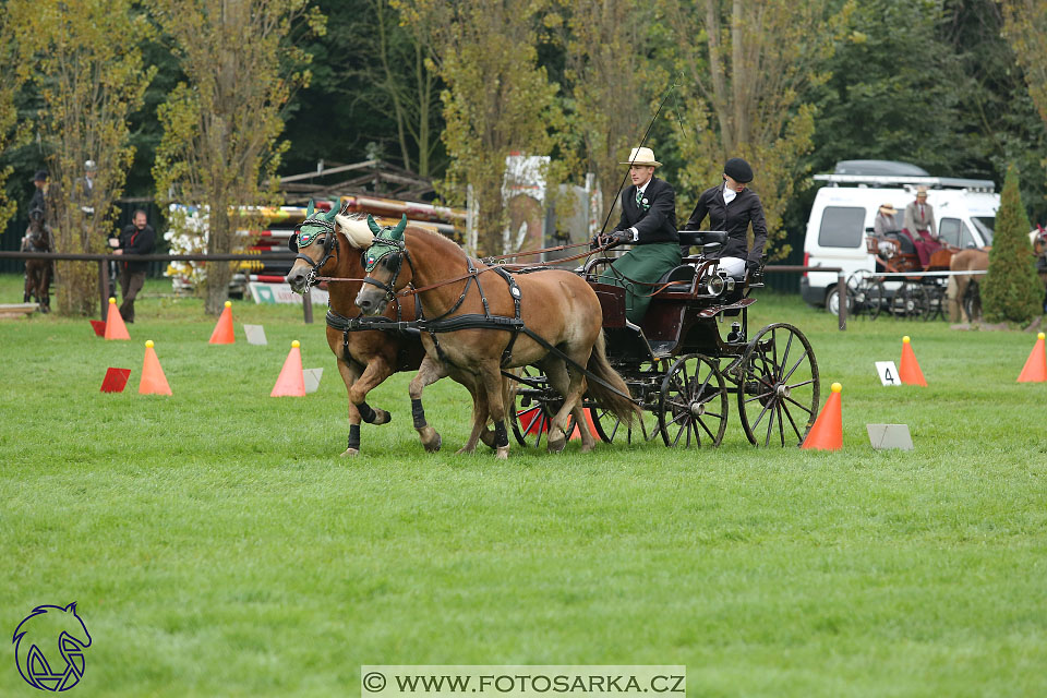 MČR Pardubice 2017 - parkur