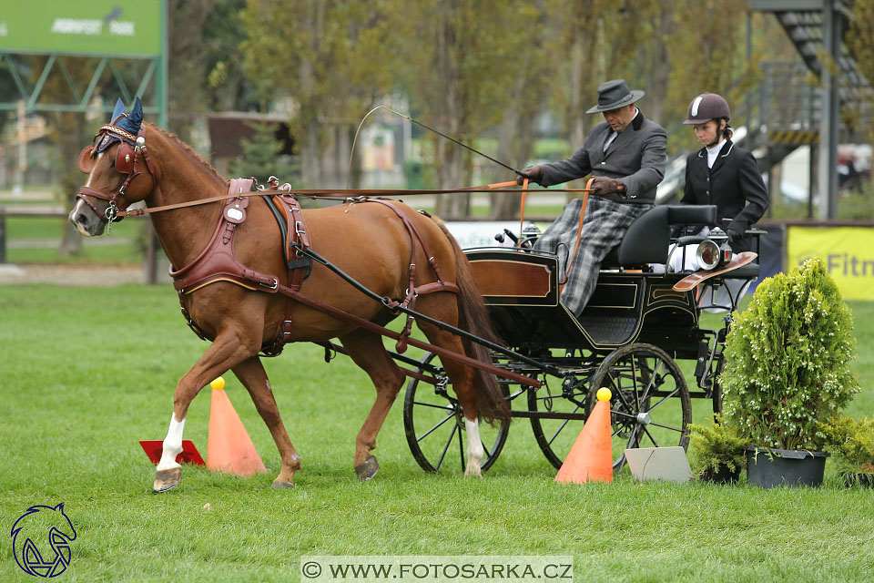 MČR Pardubice 2017 - parkur