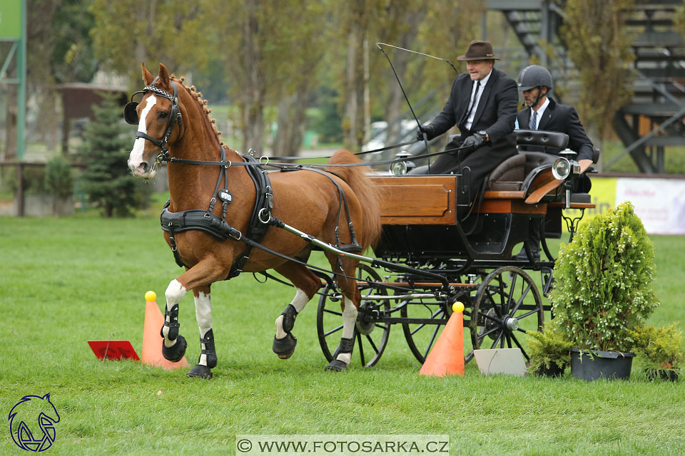 MČR Pardubice 2017 - parkur