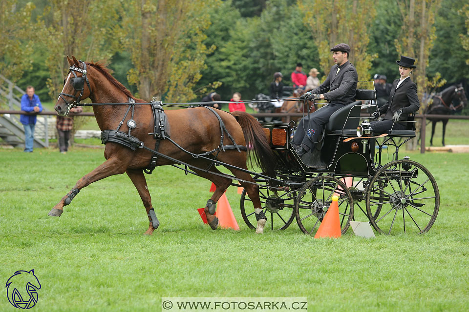 MČR Pardubice 2017 - parkur