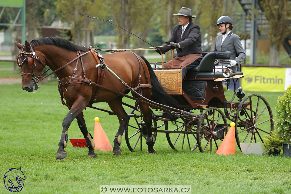 MČR Pardubice 2017 - parkur