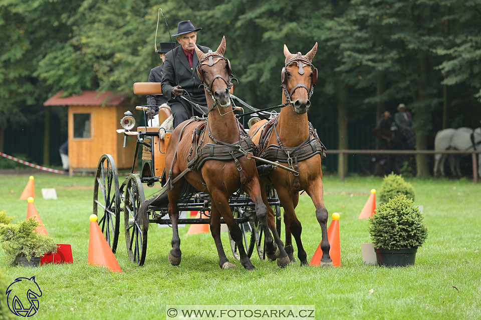 MČR Pardubice 2017 - parkur