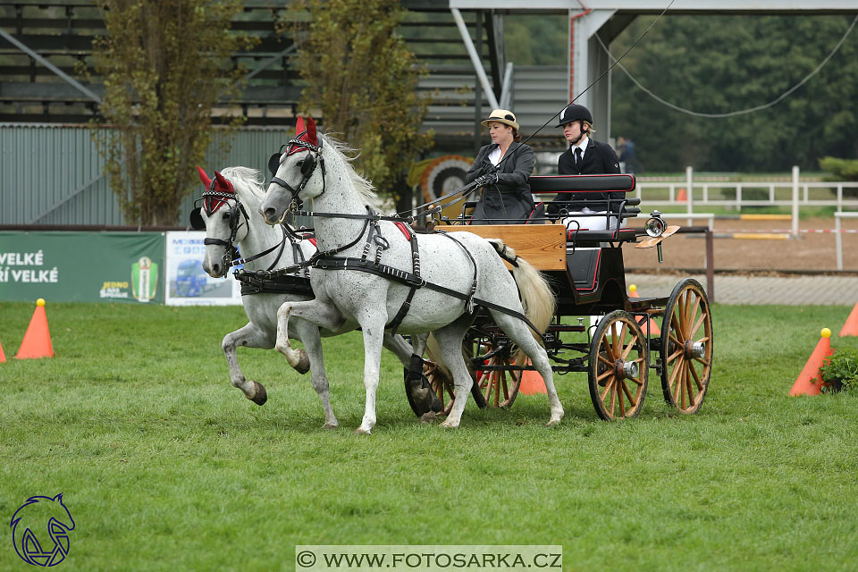 MČR Pardubice 2017 - parkur