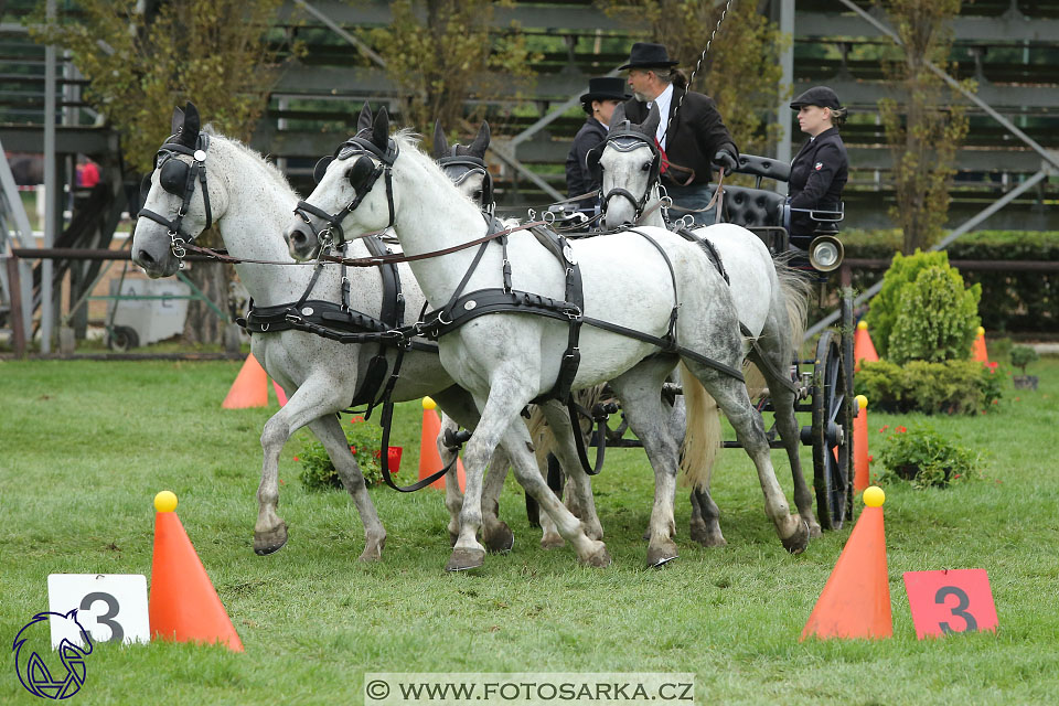 MČR Pardubice 2017 - parkur