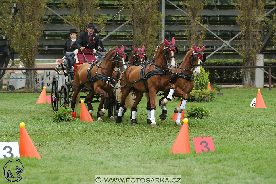 MČR Pardubice 2017 - parkur