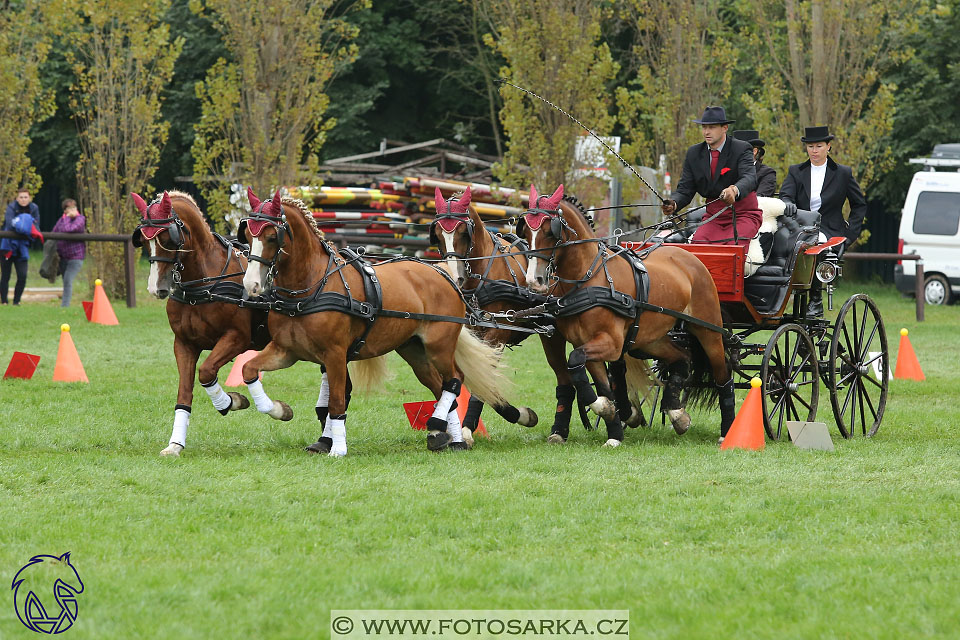 MČR Pardubice 2017 - parkur