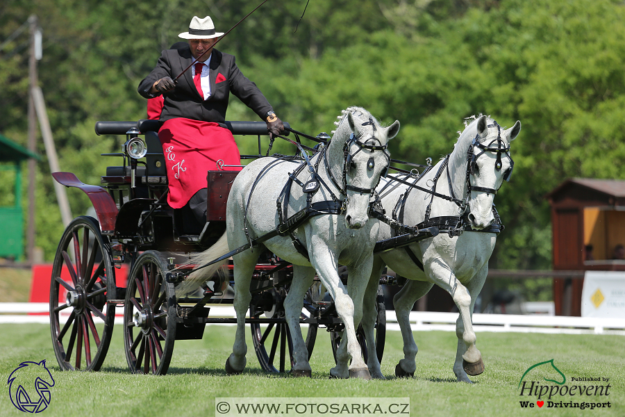 Mezöhegyes 2018 - drezury