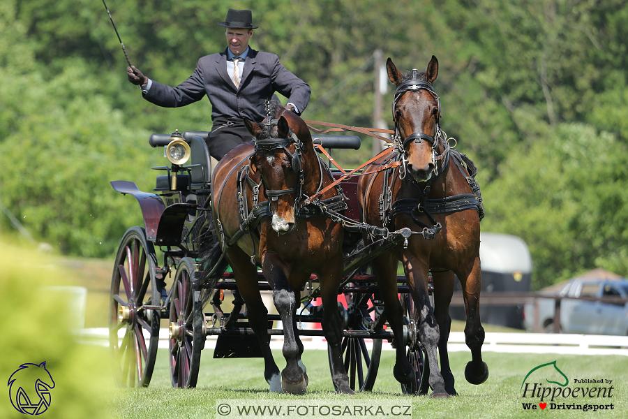 Mezöhegyes 2018 - drezury