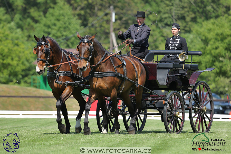 Mezöhegyes 2018 - drezury