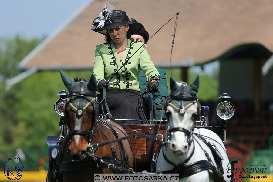 Mezöhegyes 2018 - drezury