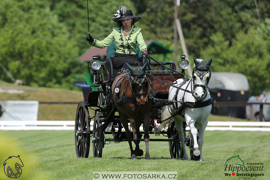 Mezöhegyes 2018 - drezury