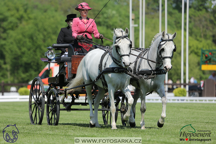 Mezöhegyes 2018 - drezury