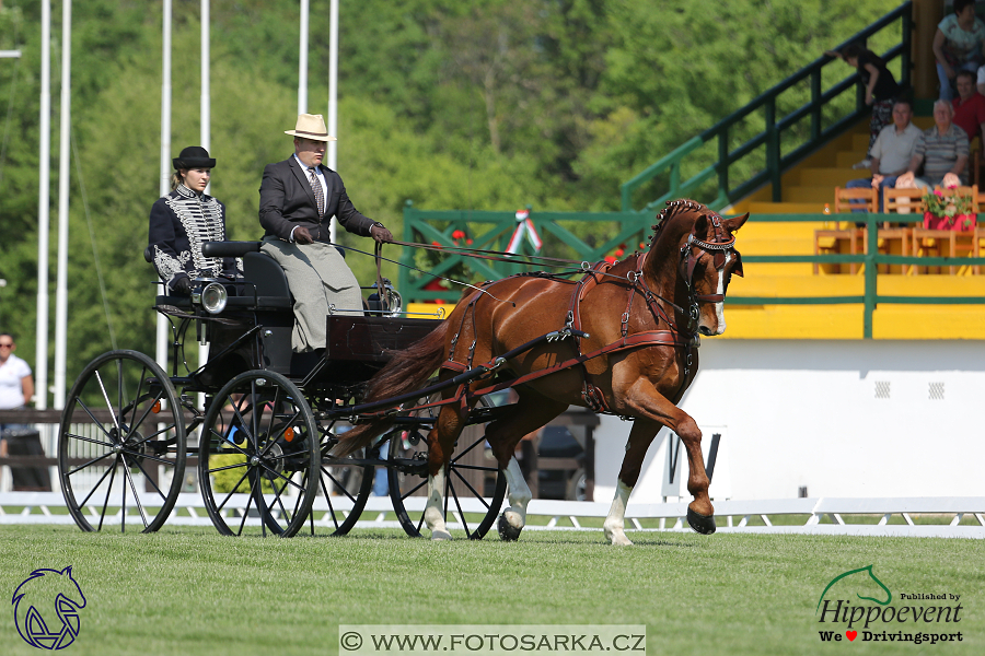 Mezöhegyes 2018 - drezury