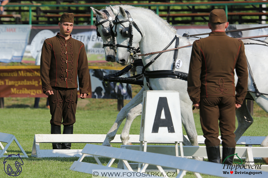 Mezöhegyes 2018 - drezury