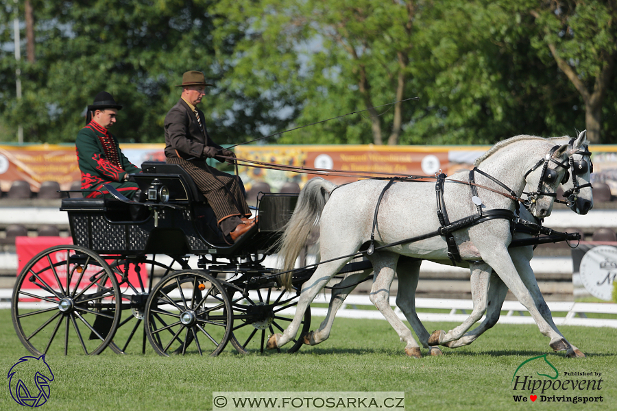 Mezöhegyes 2018 - drezury
